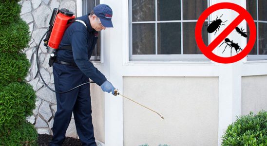 Oğuzlar Gümüşkurt İlaçlama böcek ilaçlama ve haşere kontrolü — ilaclama-tr.com